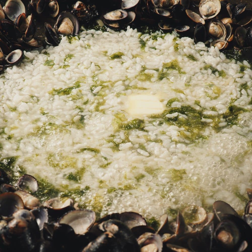 IMG_0557-e1637920290161